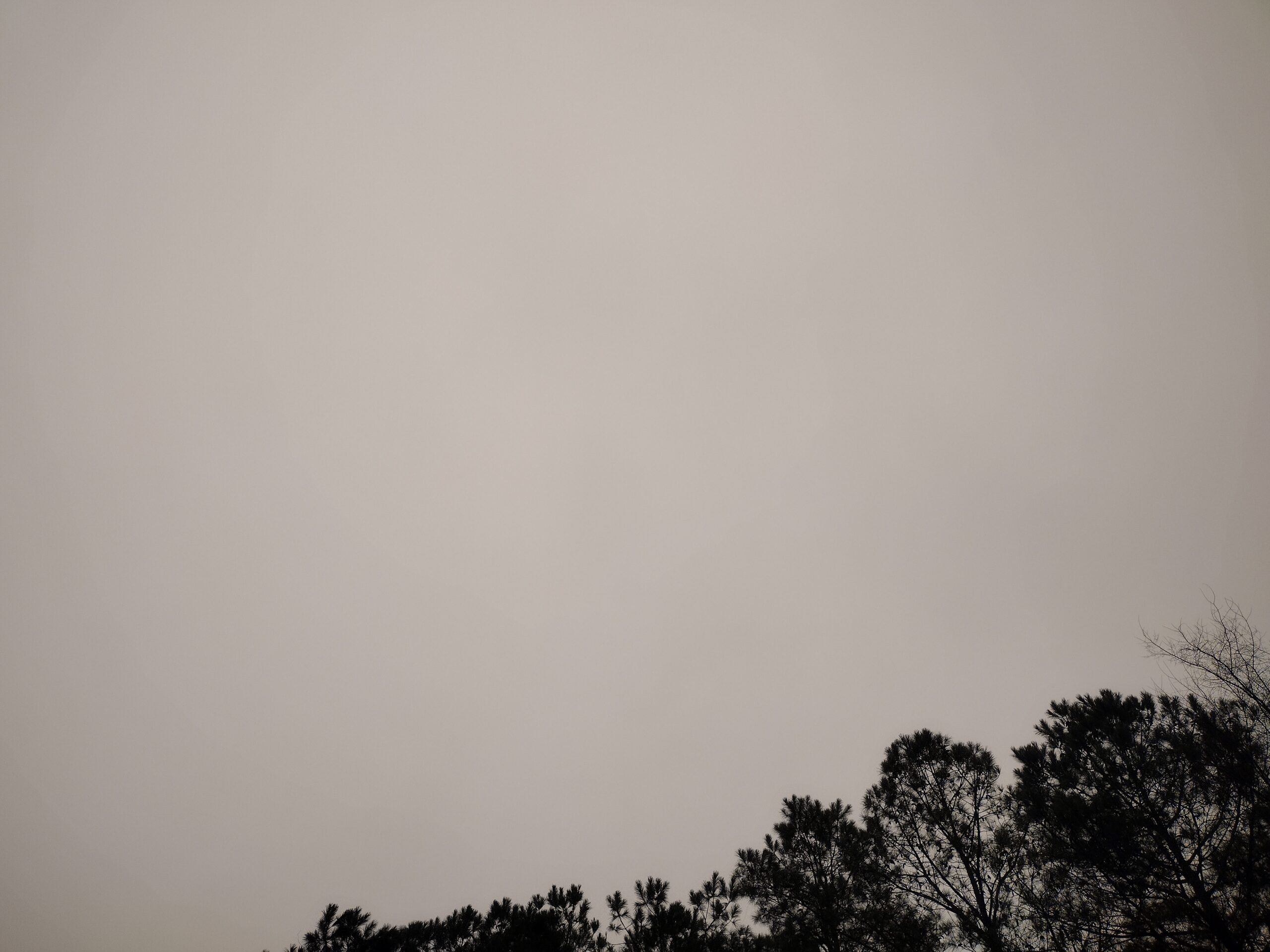 Img 20230122 180123124